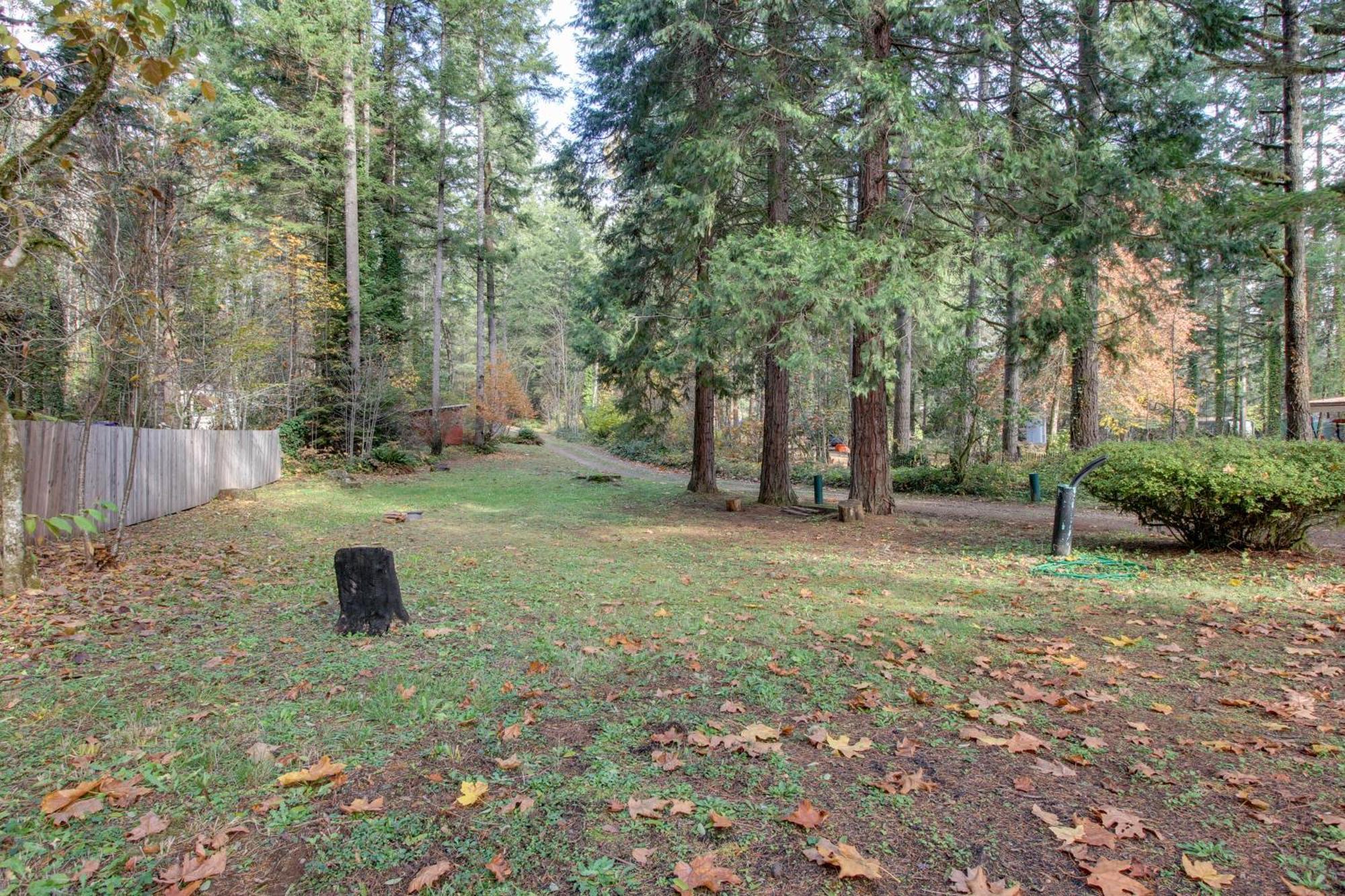 Vida Peaceful Mckenzie River Retreat Fish, Hike, And Ski מראה חיצוני תמונה